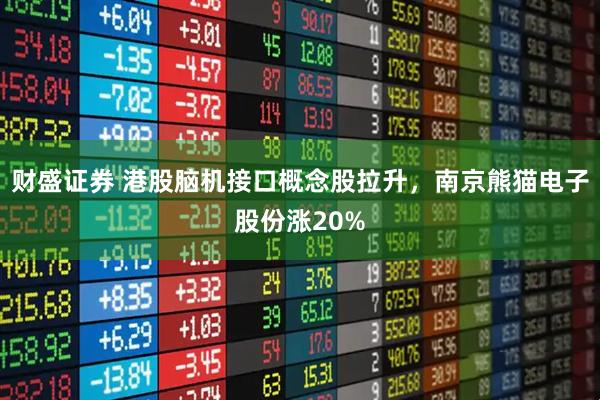 财盛证券 港股脑机接口概念股拉升，南京熊猫电子股份涨20%