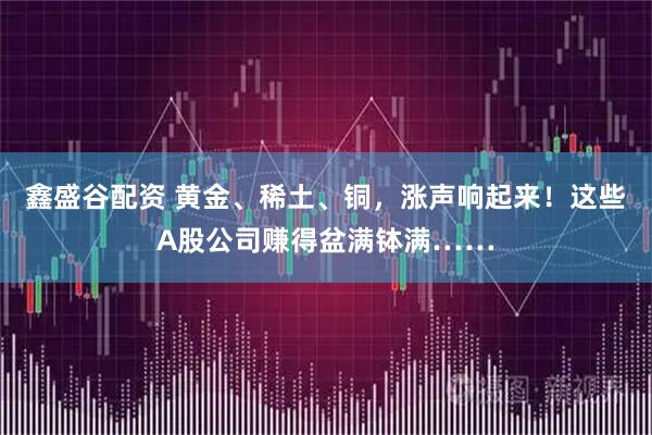 鑫盛谷配资 黄金、稀土、铜，涨声响起来！这些A股公司赚得盆满钵满……
