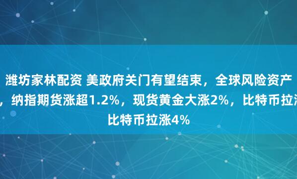 潍坊家林配资 美政府关门有望结束，全球风险资产走高，纳指期货涨超1.2%，现货黄金大涨2%，比特币拉涨4%